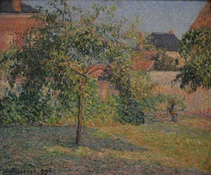 Appelboom in de weide
